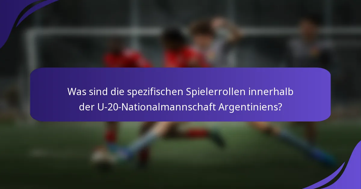 Was sind die spezifischen Spielerrollen innerhalb der U-20-Nationalmannschaft Argentiniens?