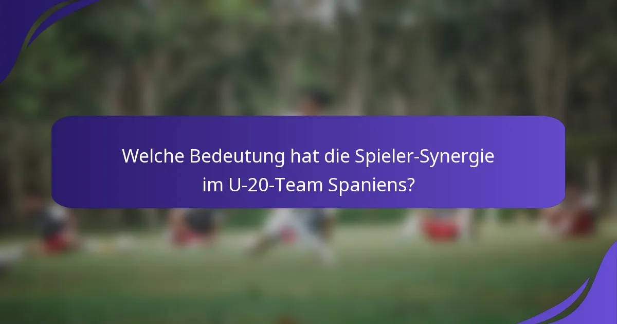 Welche Bedeutung hat die Spieler-Synergie im U-20-Team Spaniens?